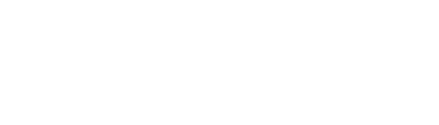 delphusconsulting